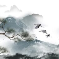 Legendary Wingchun KUNG FU 